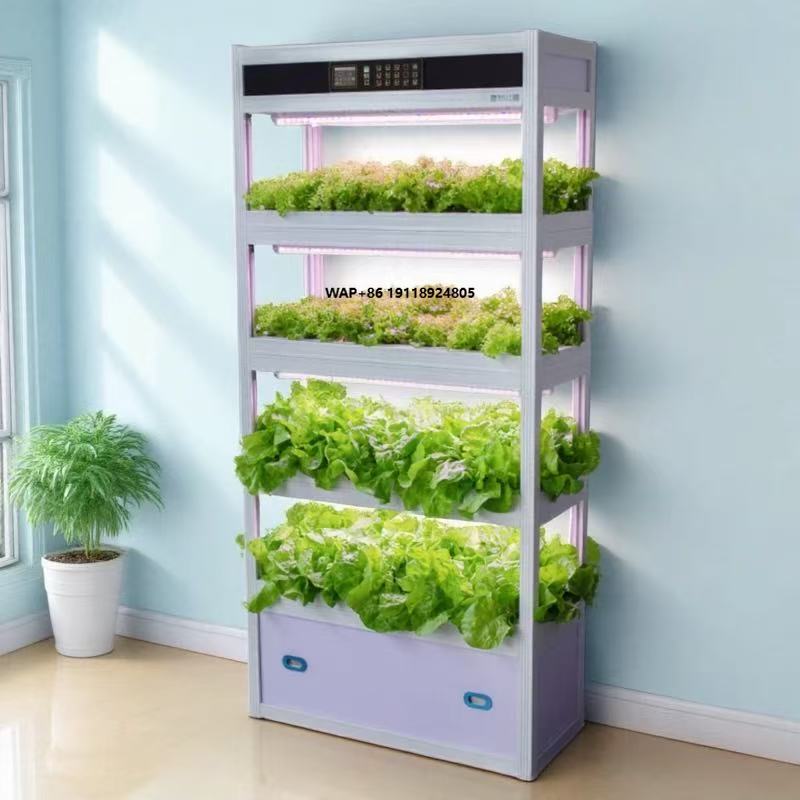Hydroponic System - نظام زراعة ذكي داخلي بدون تربة
