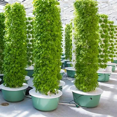 Hydroponic System - أنظمة برج الزراعة الهوائية مع إضاءة