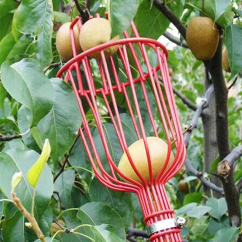 Gardening Tools Basket - رأس قطفة فواكه عميق محمول للاستخدام