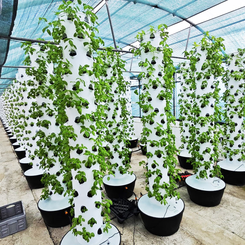 Hydroponic System - نظام زراعة عمودي هيدروبونيكي صغير عالي