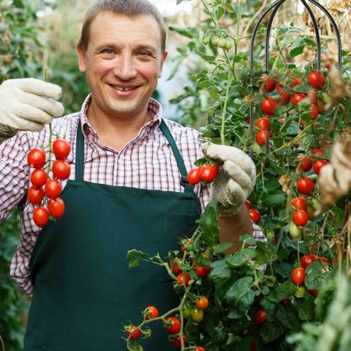 Gardening Hand Tools B&Q - AT16 عمود تسلق للنباتات، دعامة نباتات