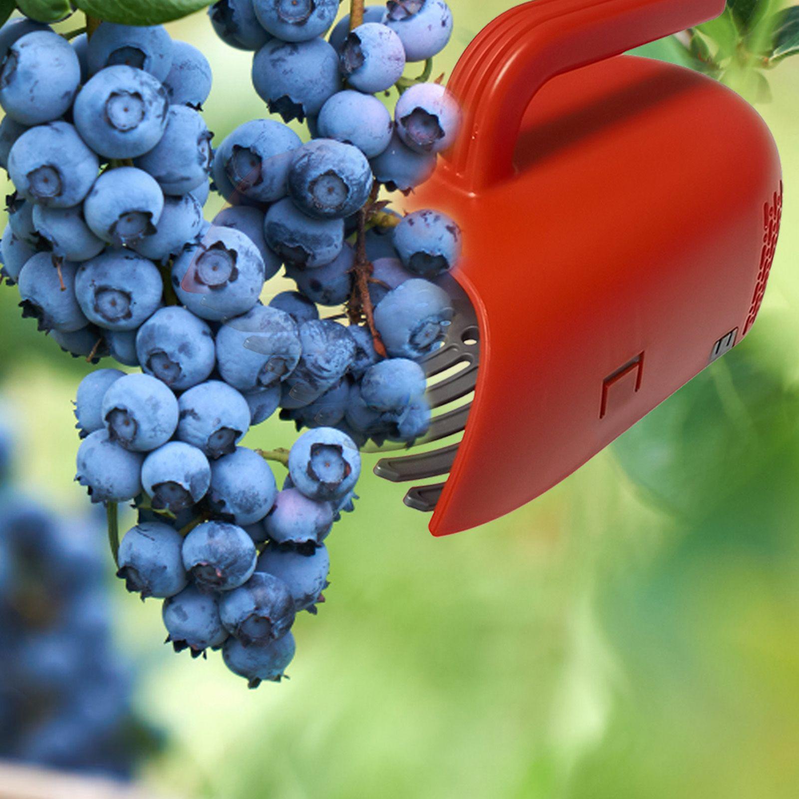 Gardening Tools Rake - أداة حصاد التوت بمقبض مريح، مغرفة
