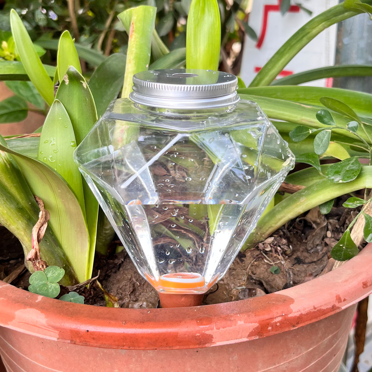 Automatic Plant Waterer - قطعة واحدة من جهاز سقي نباتات