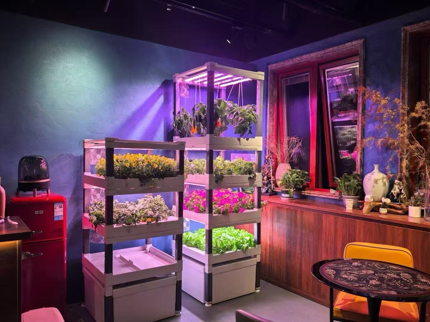 نظام زراعة مائي عمودي جديد للا - مراجعة Hydroponic System وسعره
