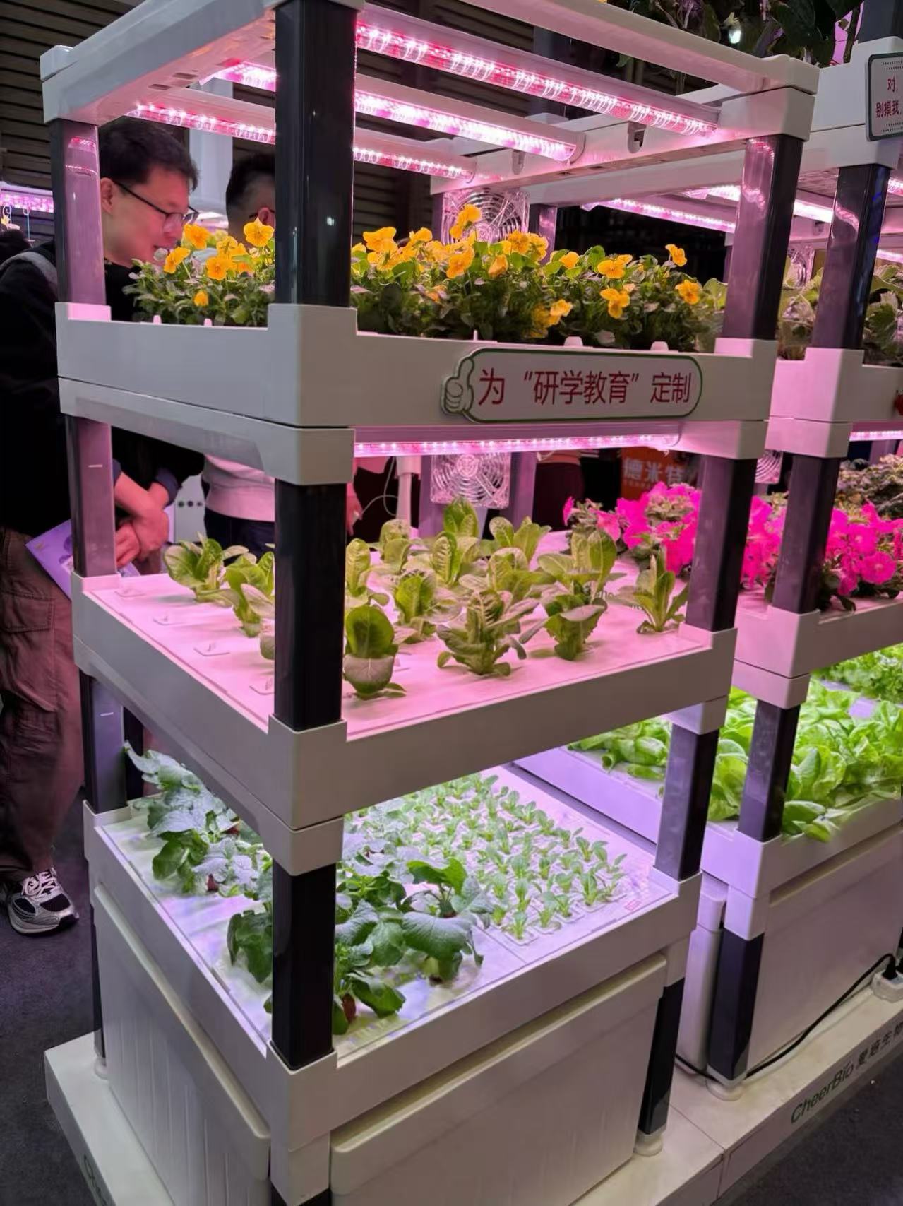 نظام زراعة مائي عمودي جديد للا - مراجعة Hydroponic System وسعره