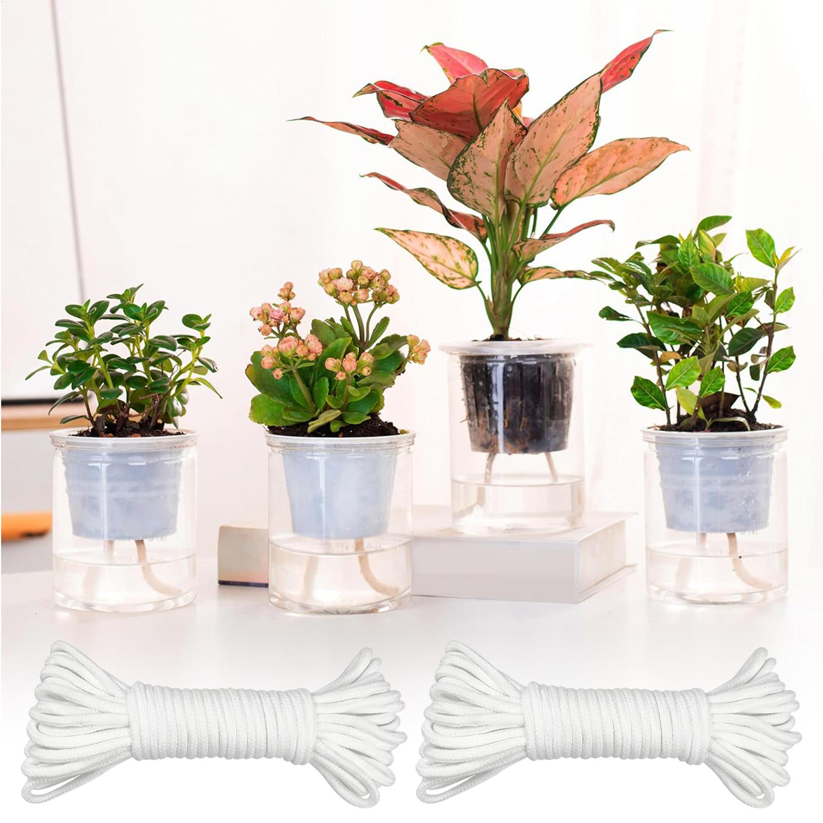 أعواد ري نباتية للري الذاتي، ن - مراجعة Automatic Plant Waterer وسعره