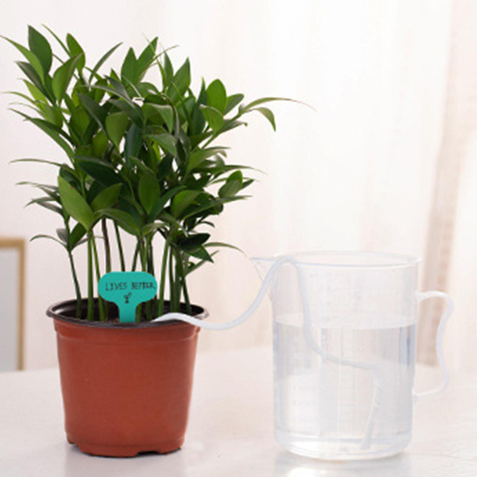 أعواد ري نباتية للري الذاتي، ن - مراجعة Automatic Plant Waterer وسعره