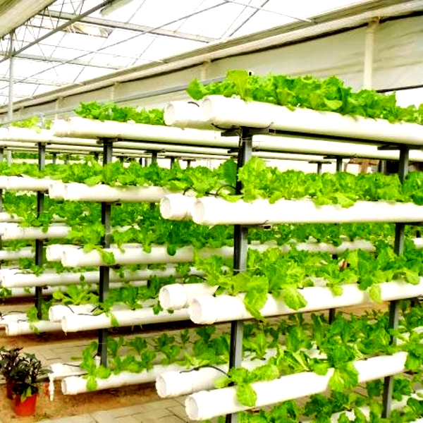 أنظمة زراعة عمودية خارجية بدون - مراجعة Hydroponic System وسعره