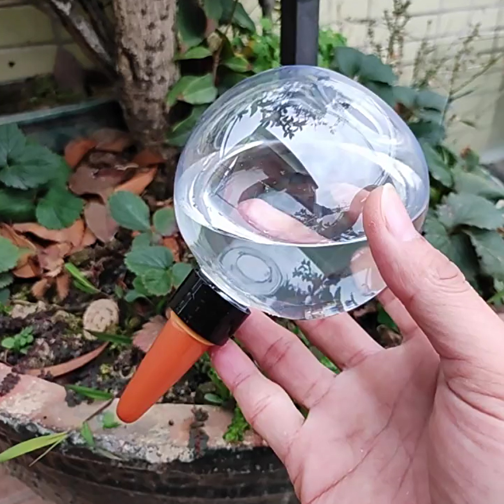 كرات ري ذاتية سعة 500 مل، نظام - مراجعة Automatic Plant Waterer وسعره