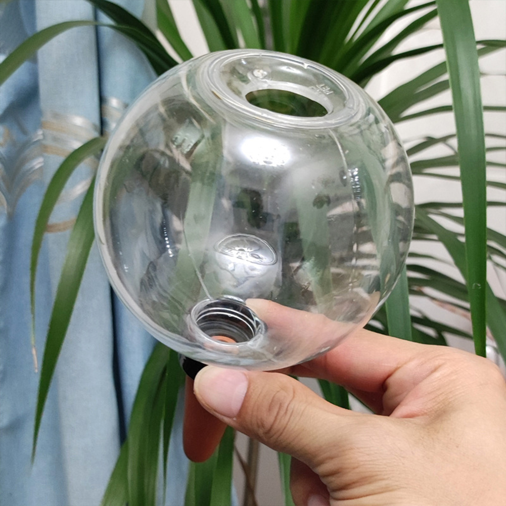 كرات ري ذاتية سعة 500 مل، نظام - مراجعة Automatic Plant Waterer وسعره