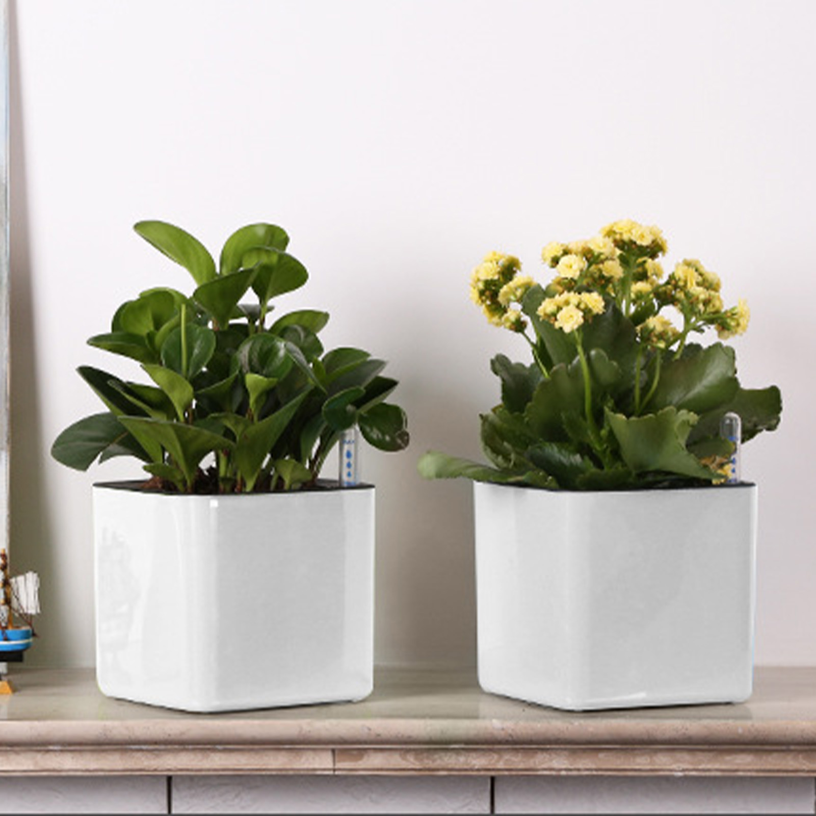3 حجم أصيص زهور كسول نباتات خض - مراجعة Automatic Plant Waterer وسعره