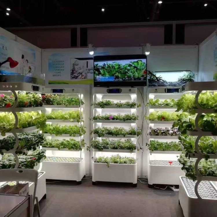 نظام زراعة مائية ذكي للاستخدام - مراجعة Hydroponic System وسعره