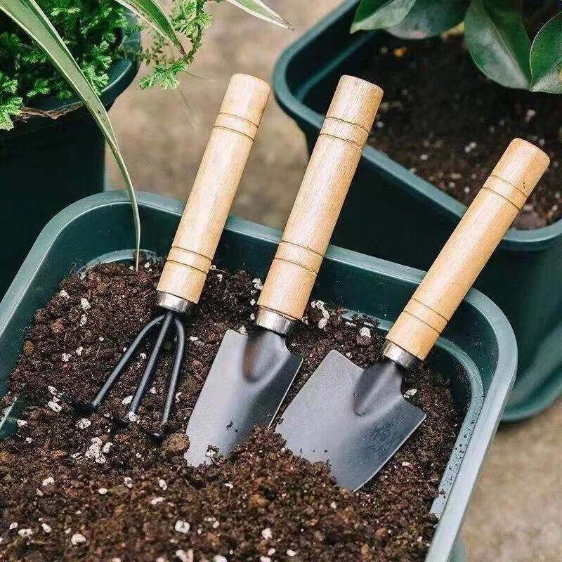 طقم أدوات حدائق صغيرة من 3 قطع - مراجعة Gardening Tools Rake وسعره