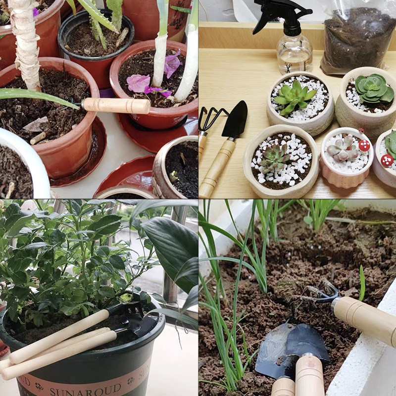 طقم أدوات حدائق صغيرة من 3 قطع - مراجعة Gardening Tools Rake وسعره