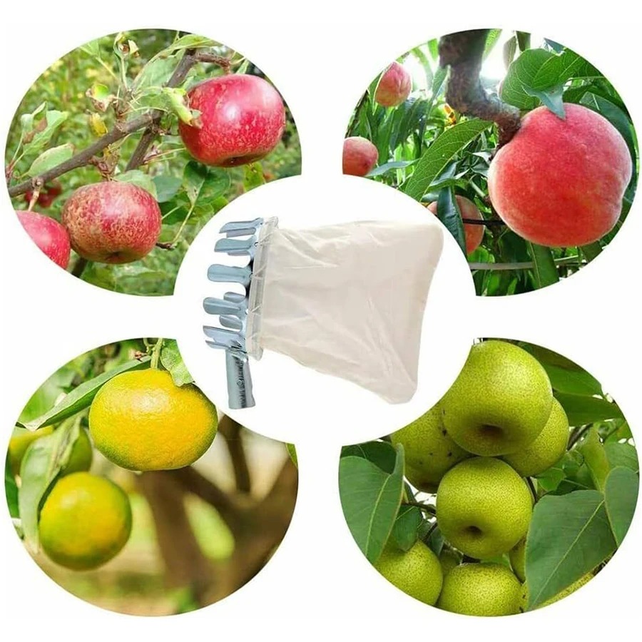 سلة قوية لقطف الفاكهة، أداة حد - مراجعة Gardening Tools Basket وسعره