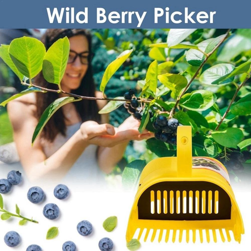 أداة محمولة لقطف التوت الأزرق، - مراجعة Gardening Tools Basket وسعره