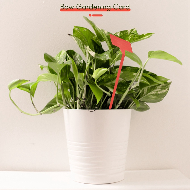 أدوات زراعة الحدائق ABYP 50 قط - مراجعة Gardening Tools Types وسعره