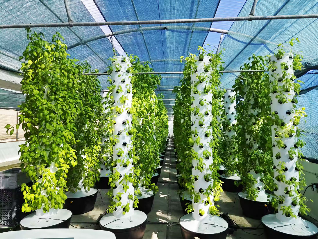 نظام زراعة عمودي هيدروبونيكي ص - مراجعة Hydroponic System وسعره