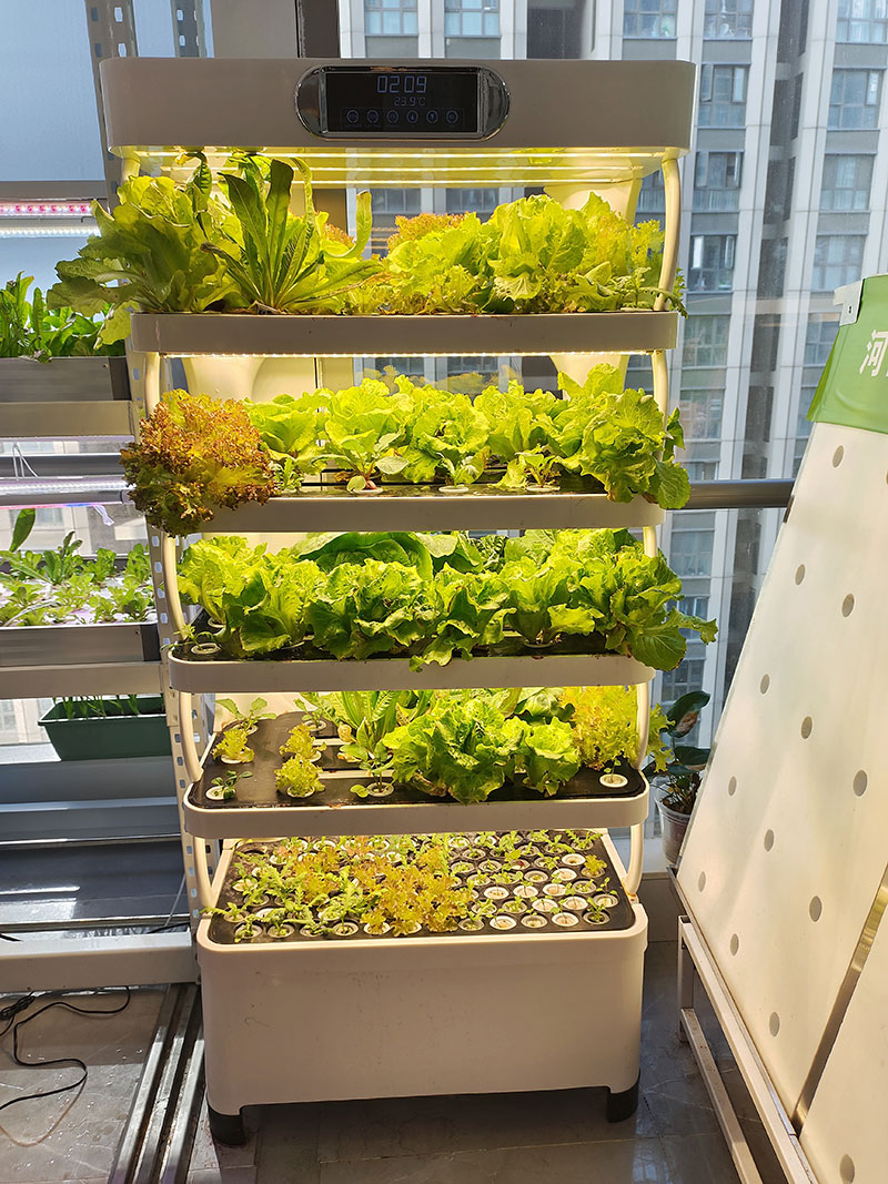 ج آلة الزراعة لزراعة الخضار ال - مراجعة Hydroponic System وسعره