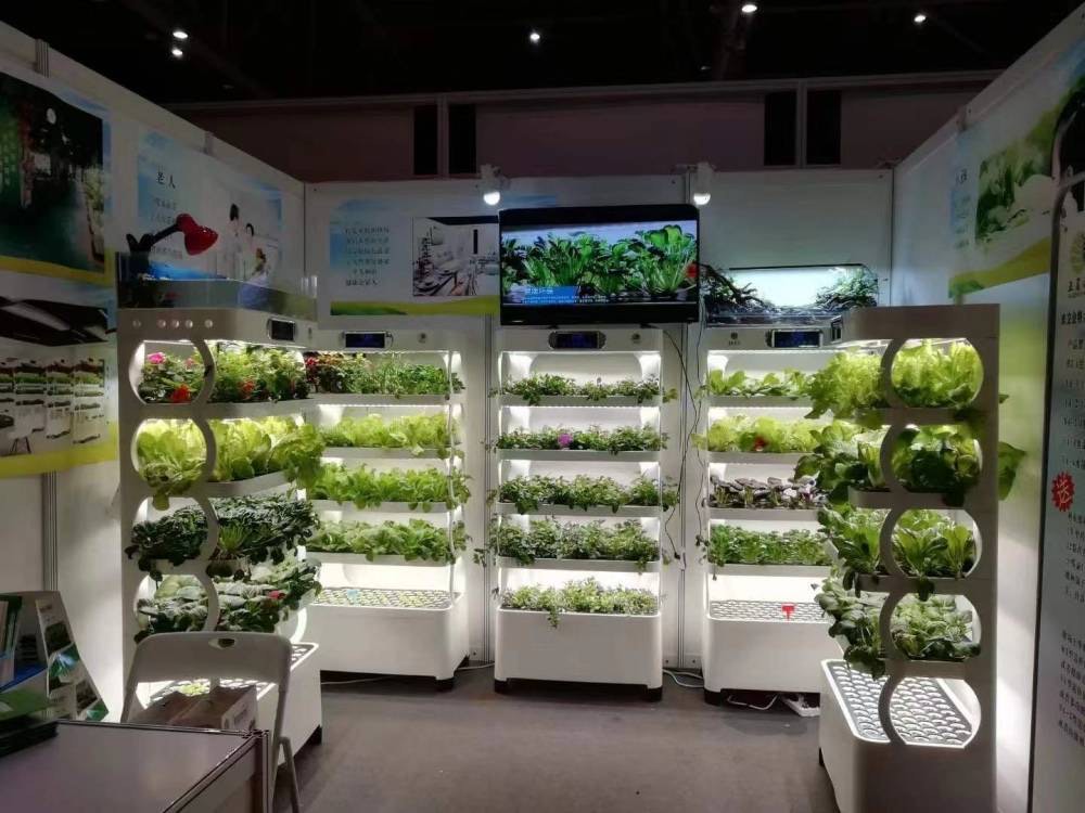ج آلة الزراعة لزراعة الخضار ال - مراجعة Hydroponic System وسعره