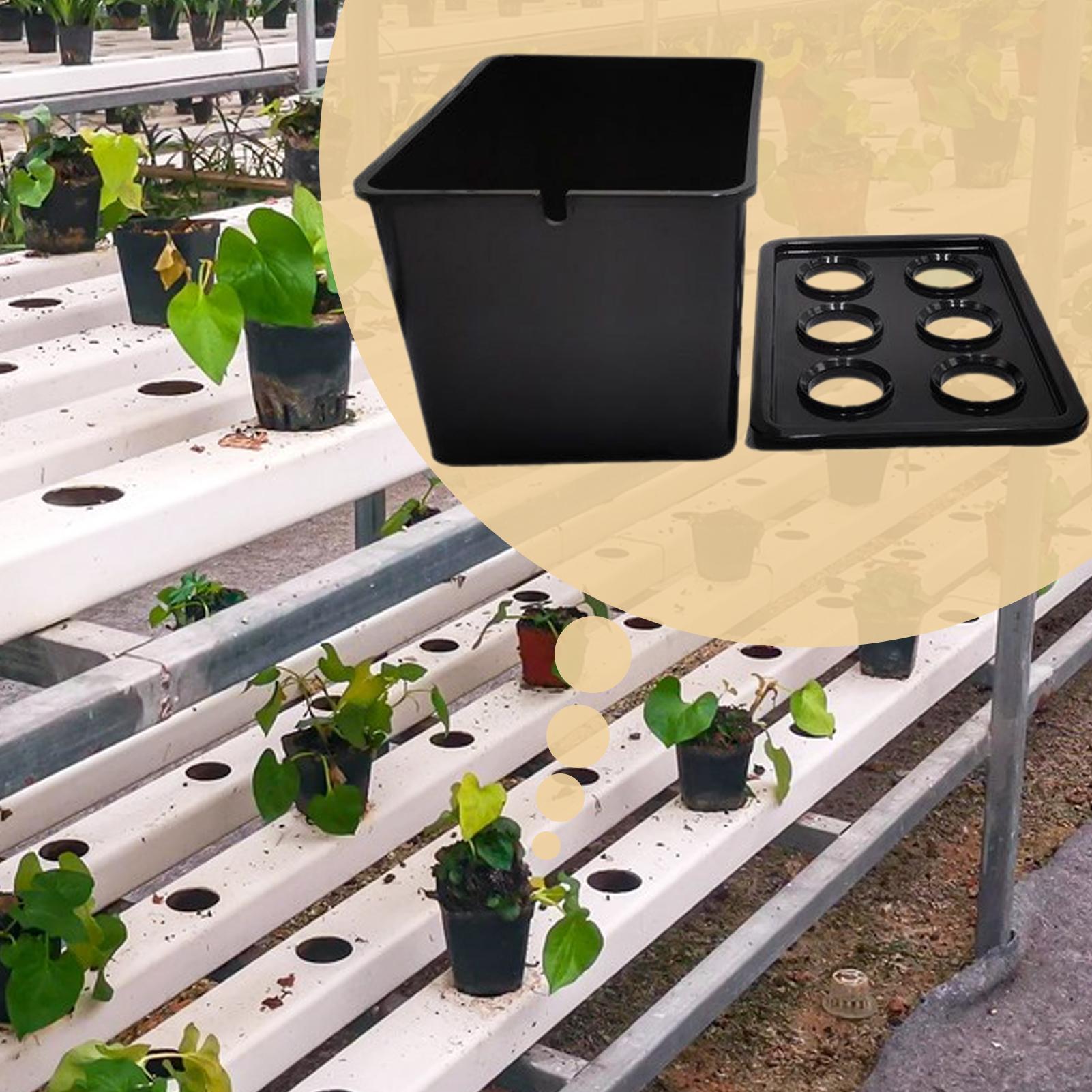 مجموعة الزراعة المائية المعدات - مراجعة Hydroponic System وسعره