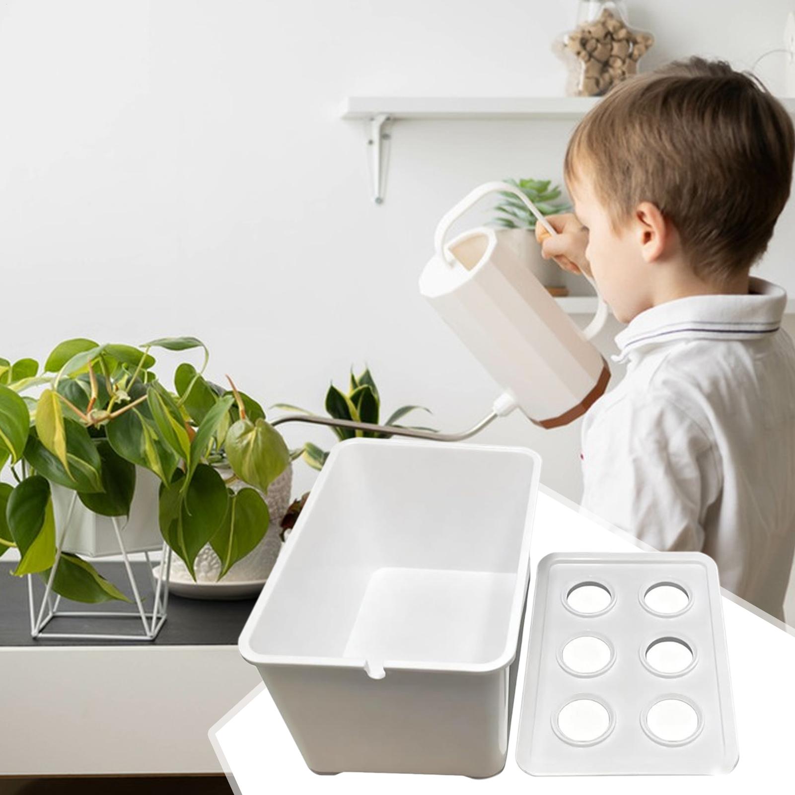 مجموعة الزراعة المائية المعدات - مراجعة Hydroponic System وسعره