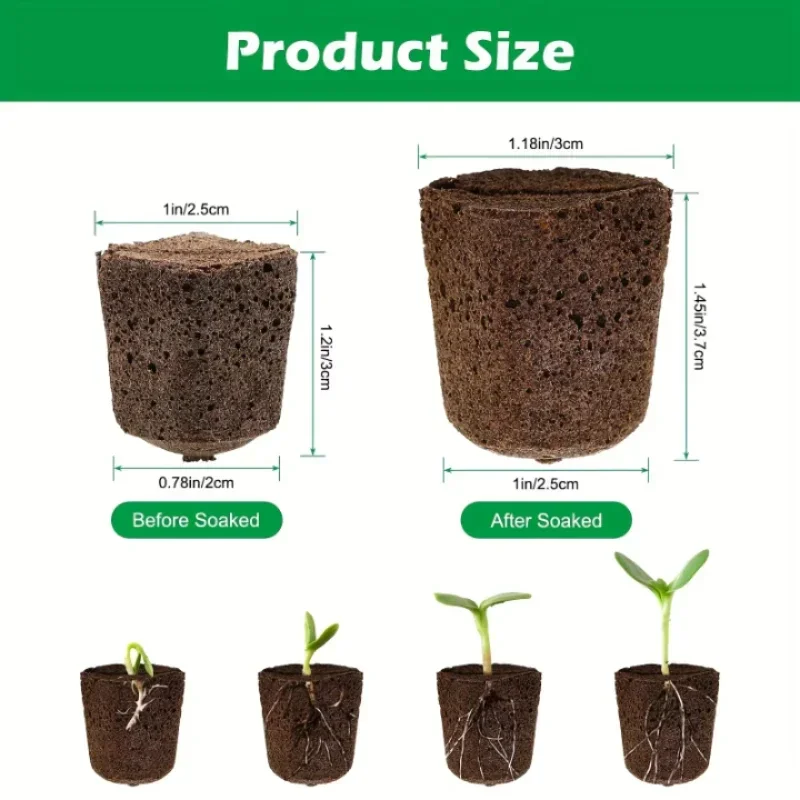 مجموعة إسفنجية لبدء زراعة الشت - مراجعة Hydroponic System وسعره