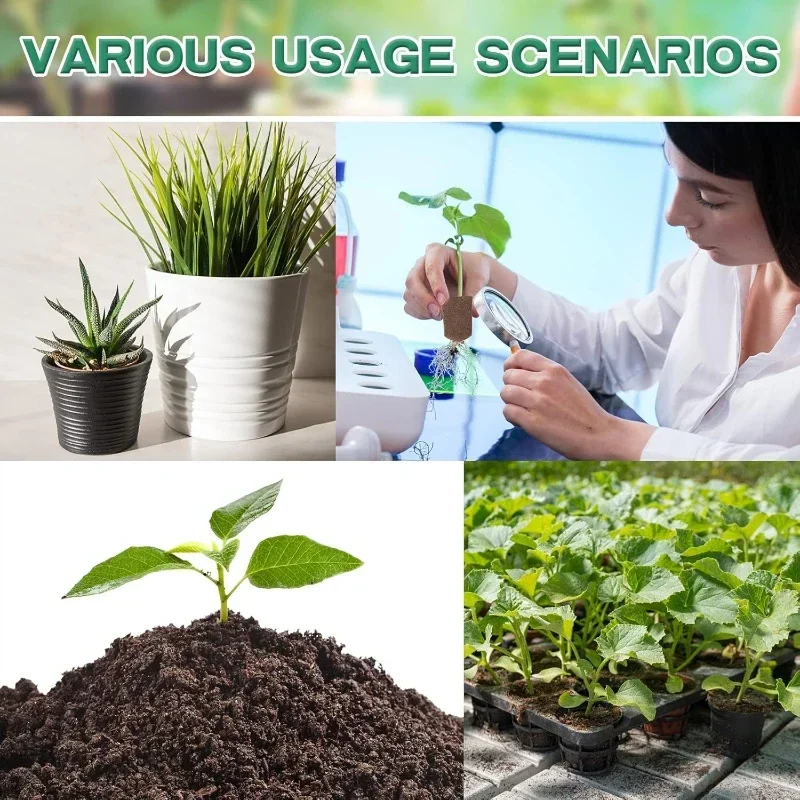 مجموعة إسفنجية لبدء زراعة الشت - مراجعة Hydroponic System وسعره