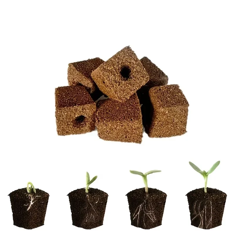 مجموعة إسفنجية لبدء زراعة الشت - مراجعة Hydroponic System وسعره