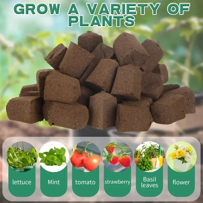 مجموعة إسفنجية لبدء زراعة الشت - مراجعة Hydroponic System وسعره