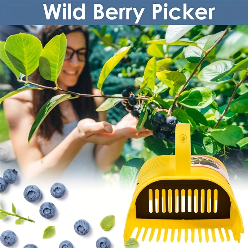 أداة قطف التوت سهلة الاستخدام، - مراجعة Gardening Tools Rake وسعره