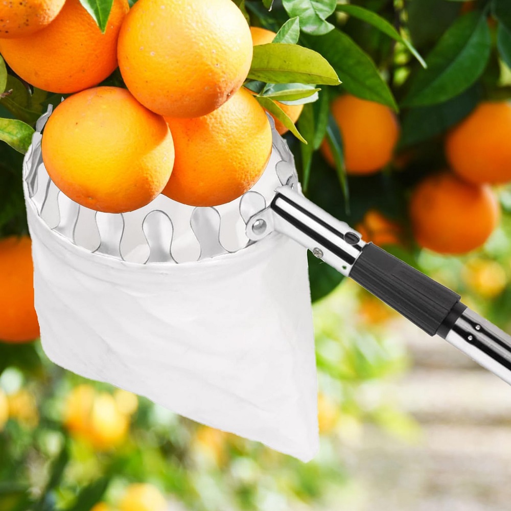 عصا قطف الفاكهة مع سلة، عصا تل - مراجعة Gardening Tools Basket وسعره