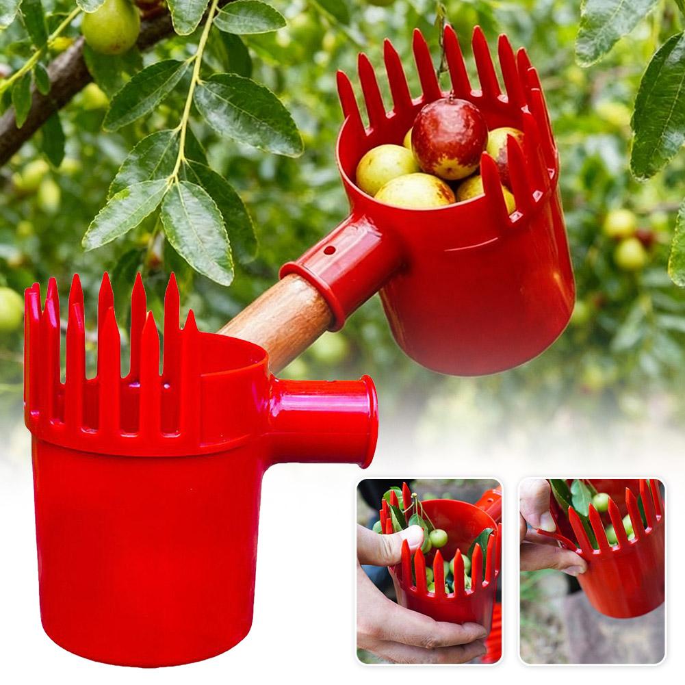أداة قطف الفاكهة المحمولة مع س - مراجعة Gardening Tools Basket وسعره