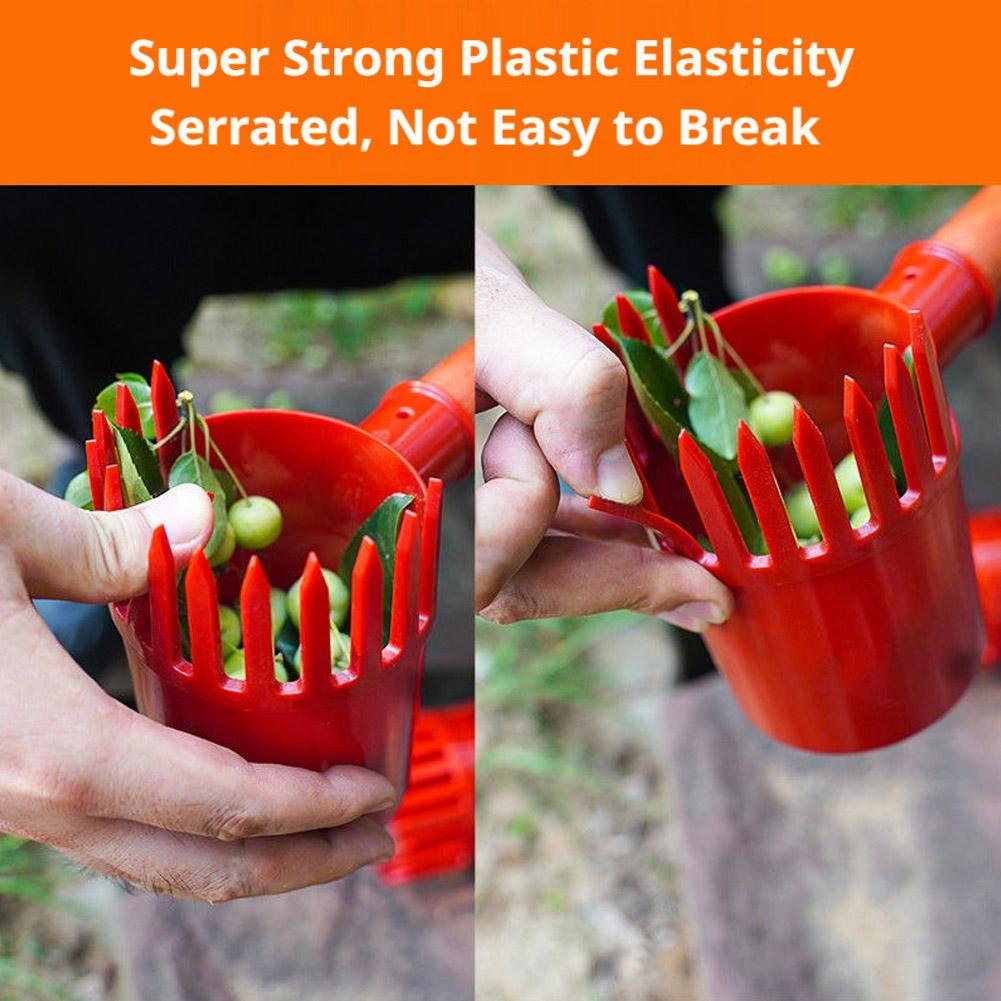 أداة قطف الفاكهة المحمولة مع س - مراجعة Gardening Tools Basket وسعره