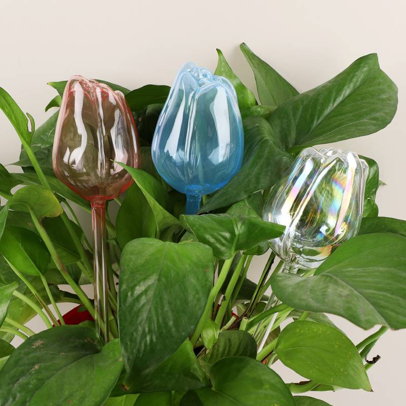 قطعة واحدة من جهاز سقي النباتا - مراجعة Automatic Plant Waterer وسعره
