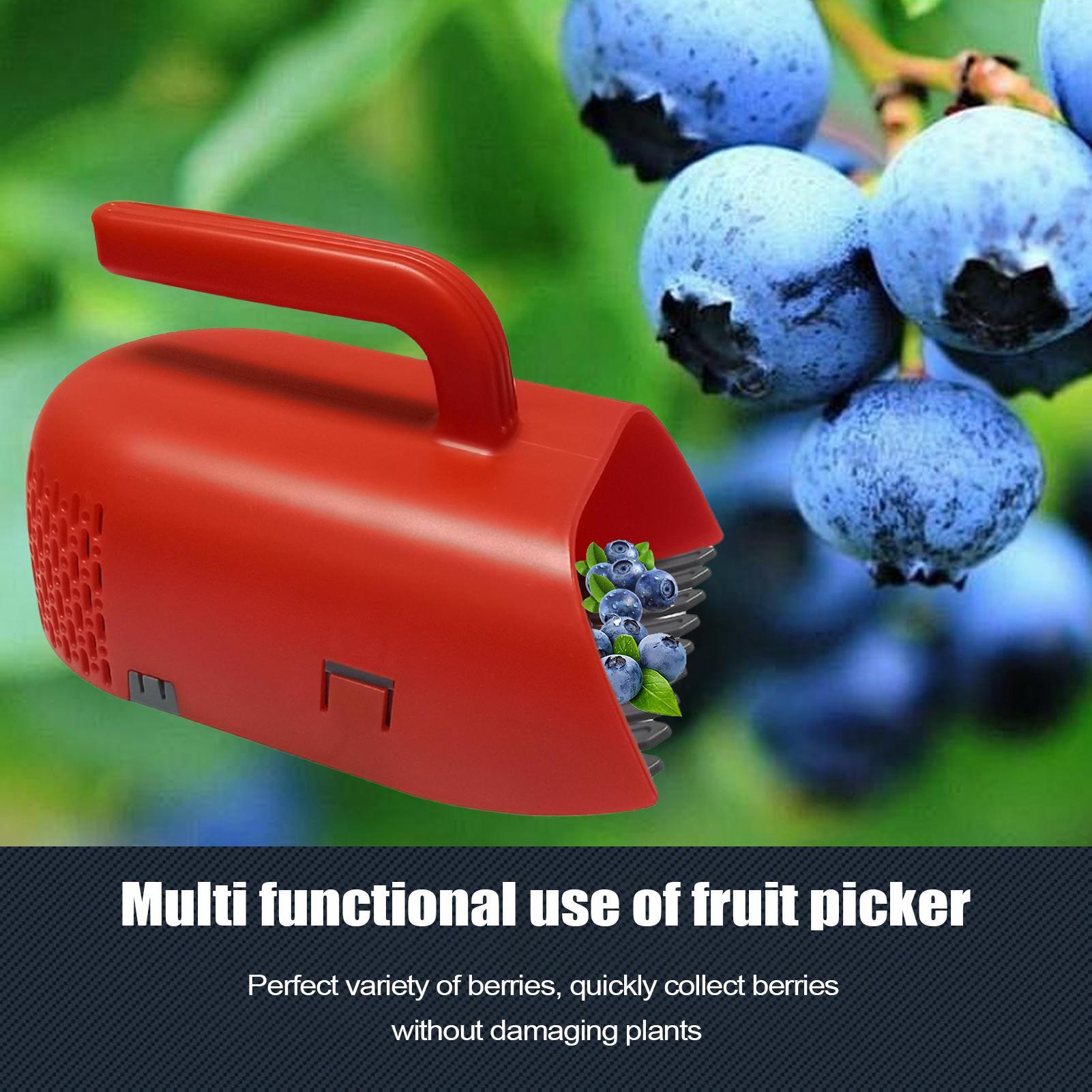 أداة حصاد التوت بمقبض مريح، مغ - مراجعة Gardening Tools Rake وسعره