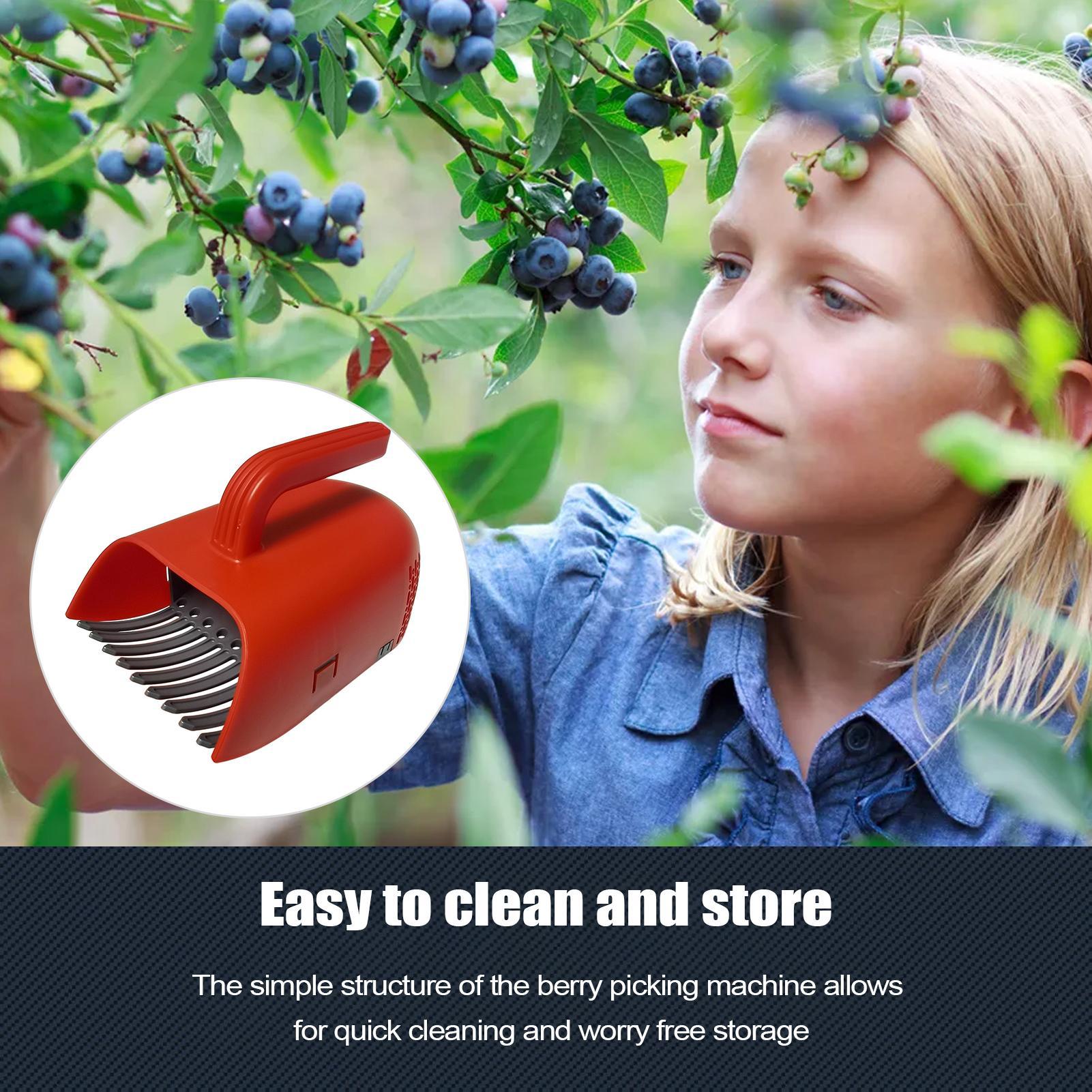 أداة حصاد التوت بمقبض مريح، مغ - مراجعة Gardening Tools Rake وسعره