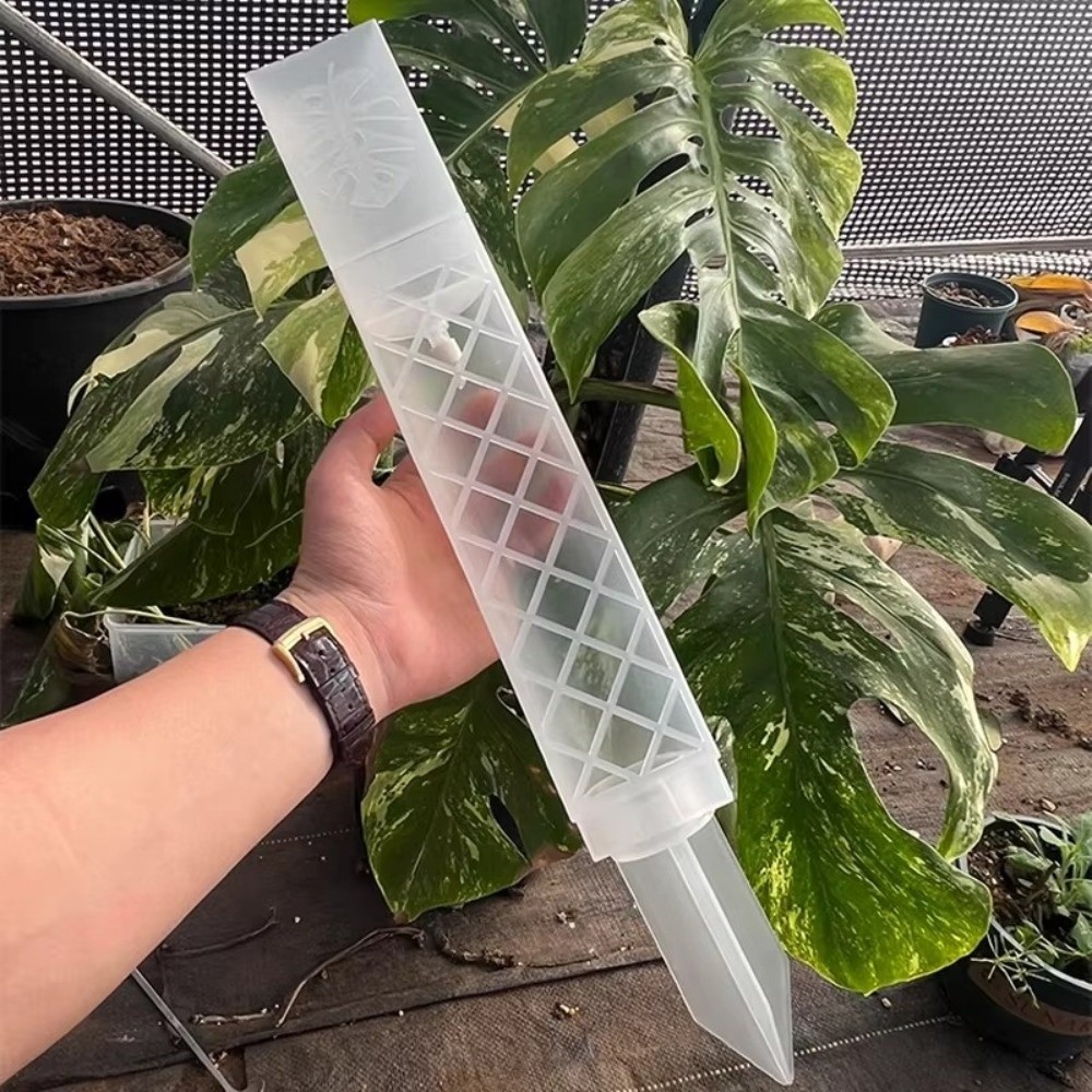 عمود ترطيب ذاتي للنباتات على ش - مراجعة Automatic Plant Waterer وسعره