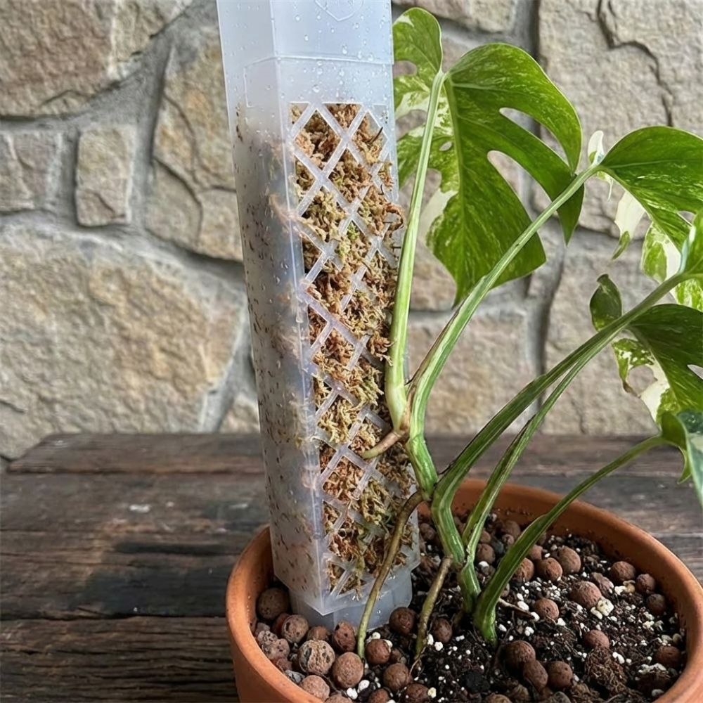 عمود ترطيب ذاتي للنباتات على ش - مراجعة Automatic Plant Waterer وسعره