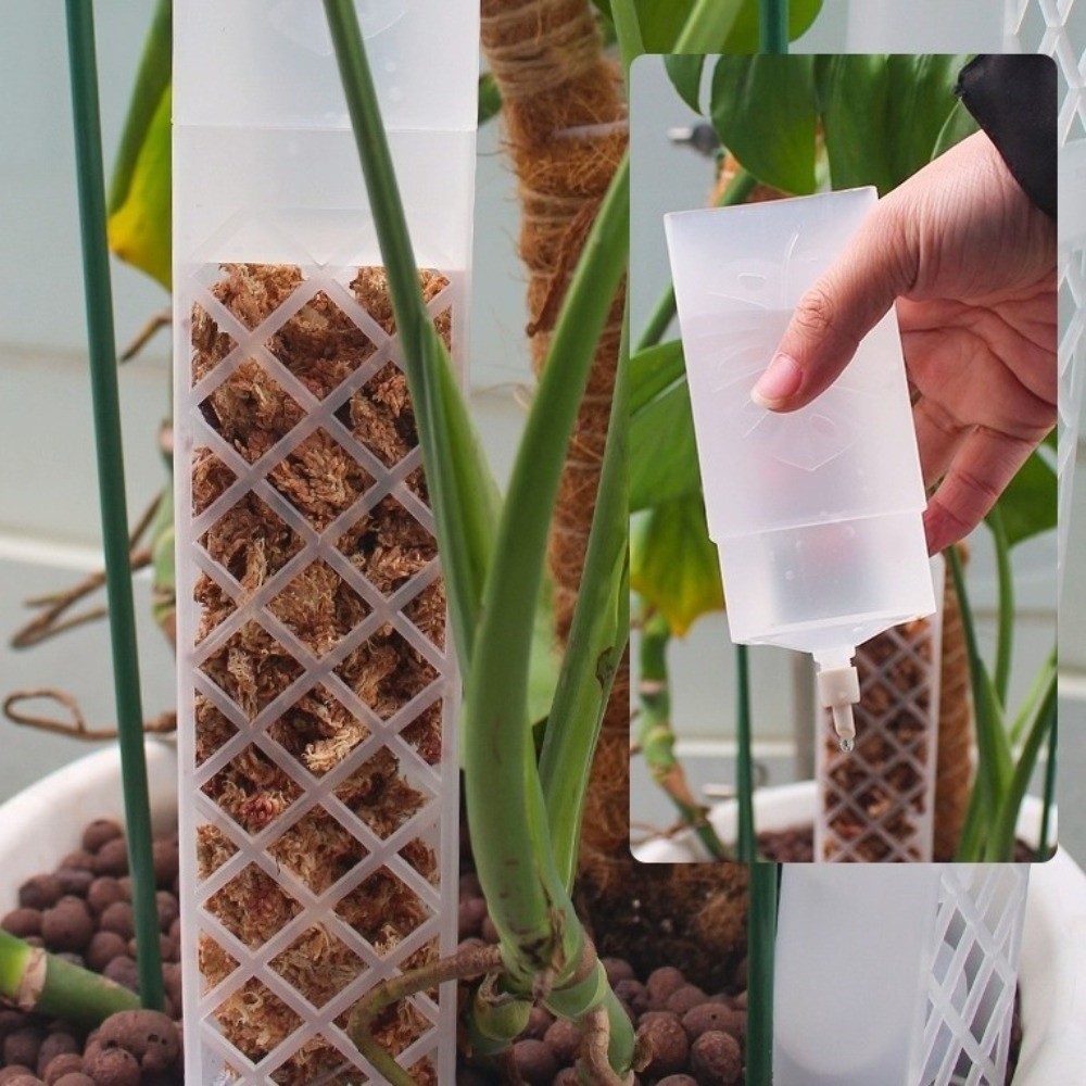 عمود ترطيب ذاتي للنباتات على ش - مراجعة Automatic Plant Waterer وسعره