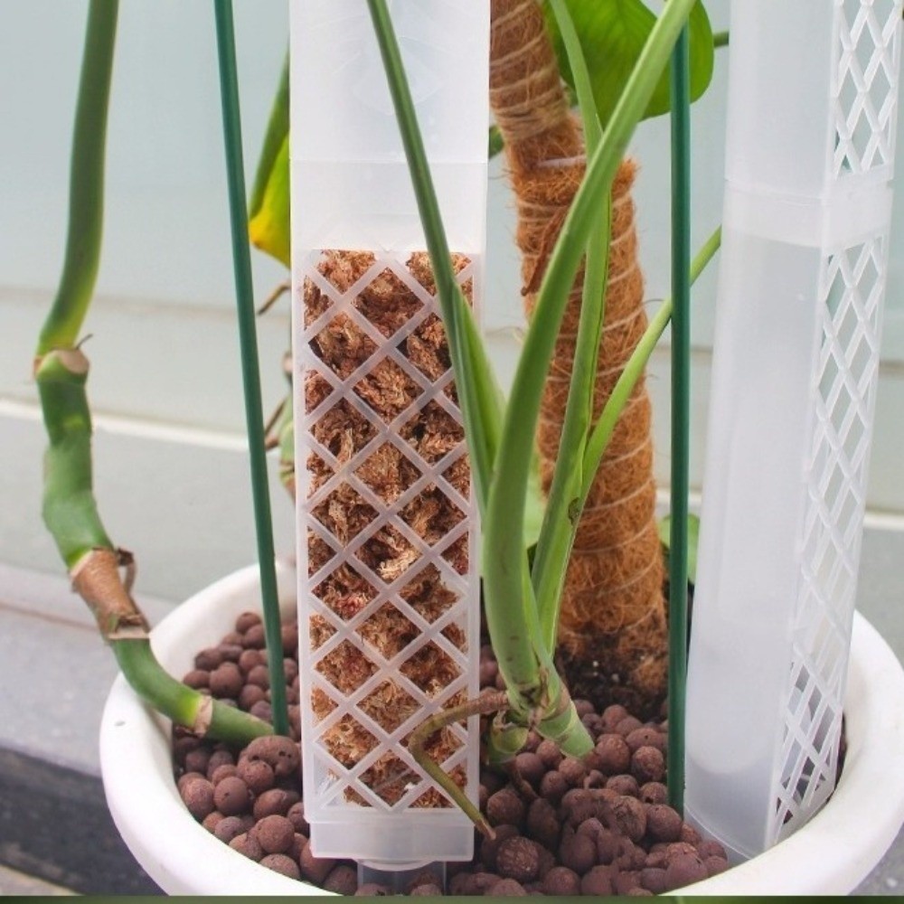 عمود ترطيب ذاتي للنباتات على ش - مراجعة Automatic Plant Waterer وسعره