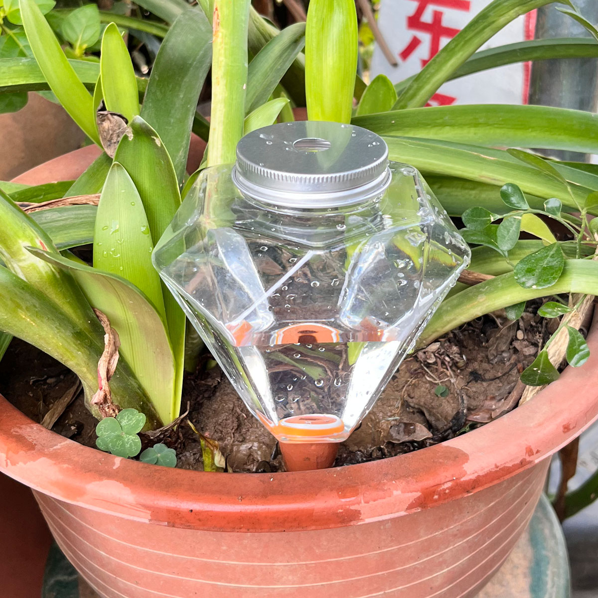قطعة واحدة من جهاز سقي نباتات  - مراجعة Automatic Plant Waterer وسعره