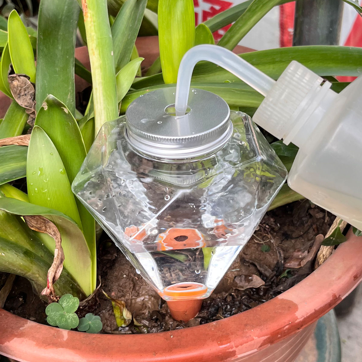 قطعة واحدة من جهاز سقي نباتات  - مراجعة Automatic Plant Waterer وسعره