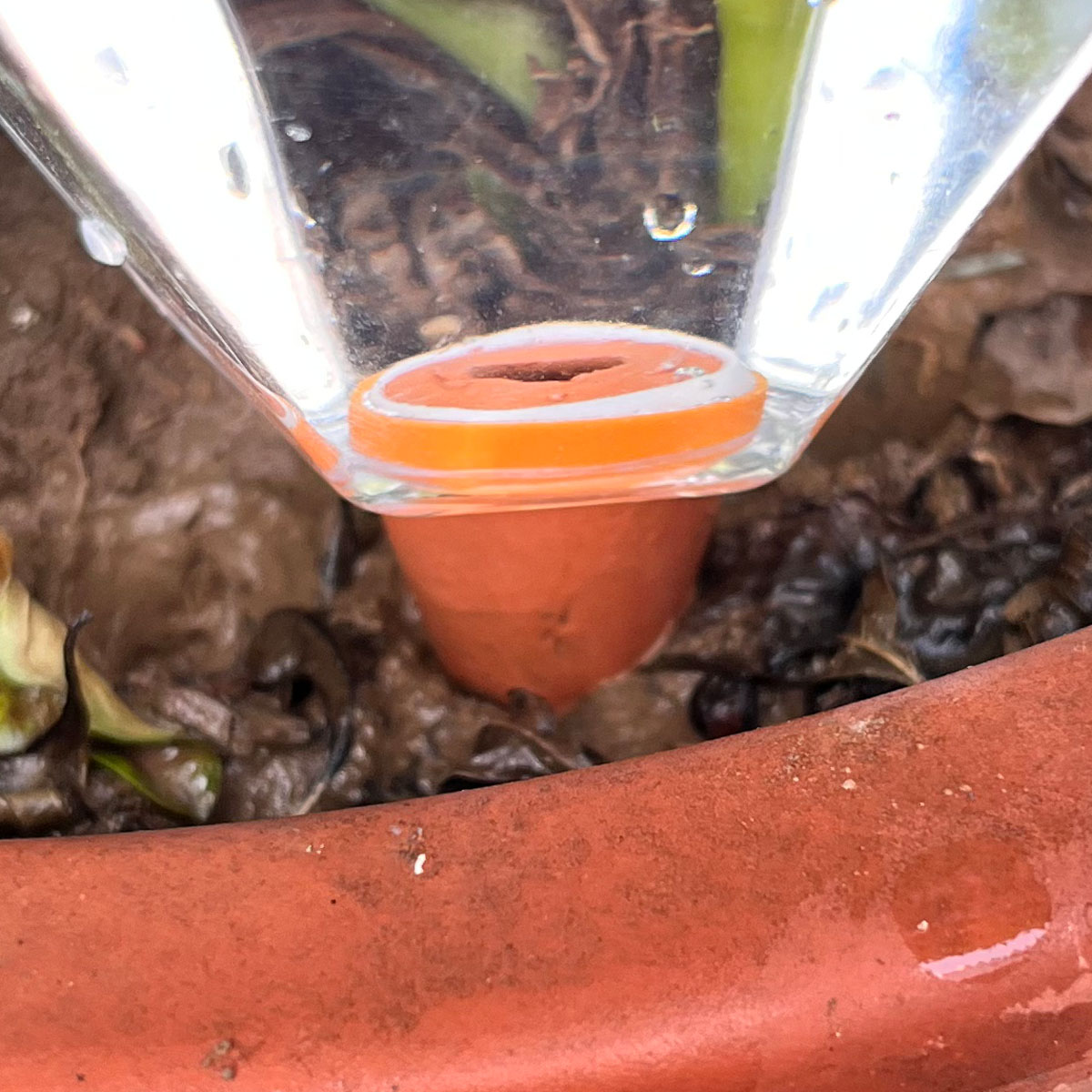 قطعة واحدة من جهاز سقي نباتات  - مراجعة Automatic Plant Waterer وسعره