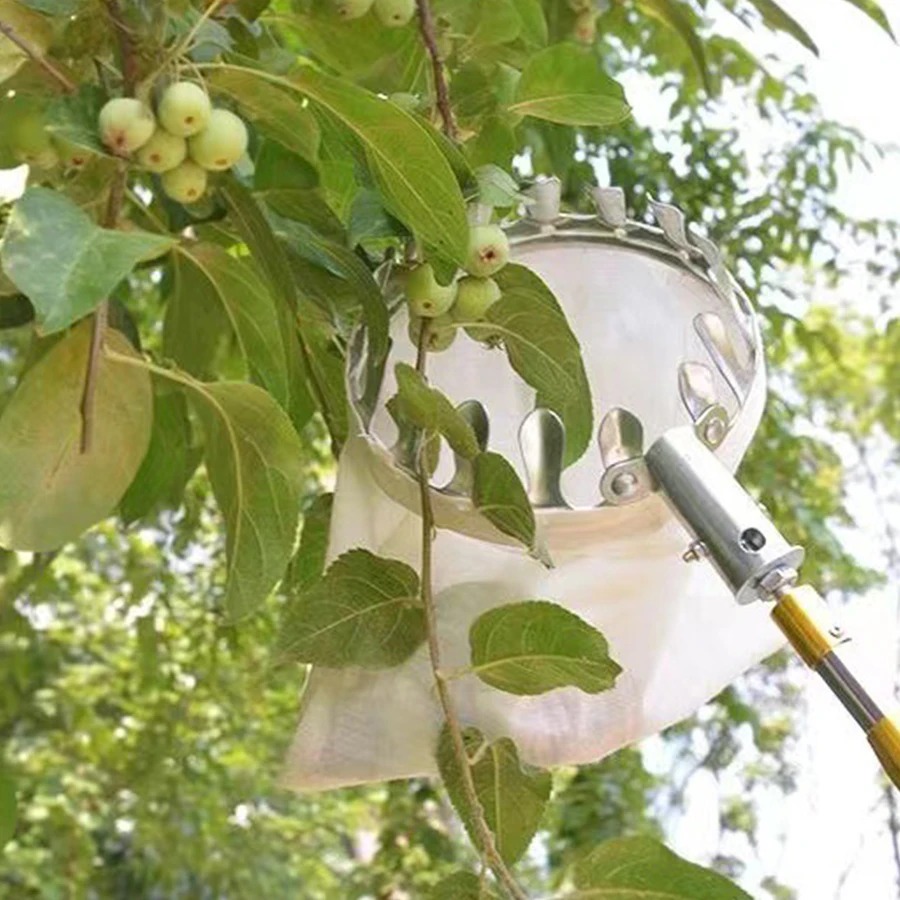 أداة احترافية لقطف التوت، سلة  - مراجعة Gardening Tools Basket وسعره