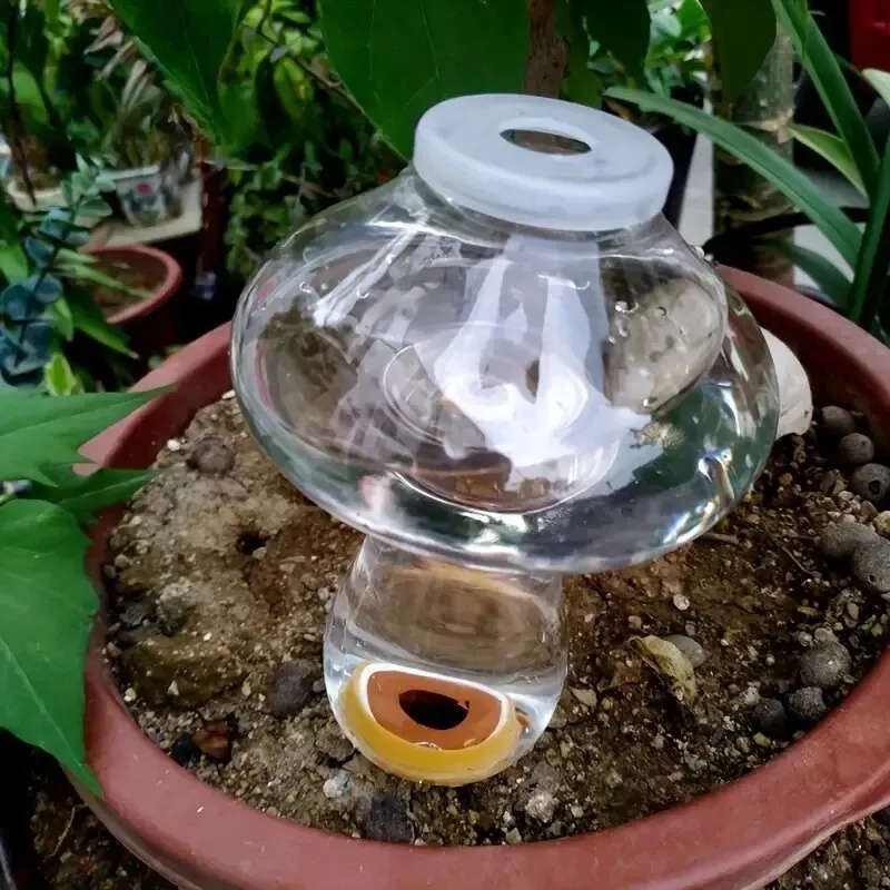 جهاز ري النباتات الأوتوماتيكي  - مراجعة Automatic Plant Waterer وسعره