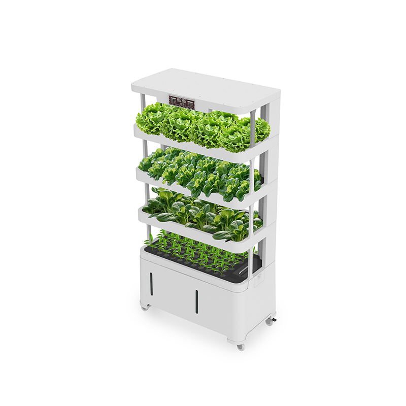 معدات زراعة مائية ذكية عالية ا - مراجعة Hydroponic System وسعره