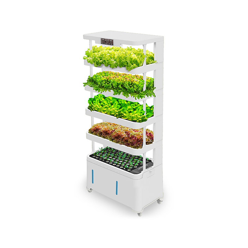 معدات زراعة مائية ذكية عالية ا - مراجعة Hydroponic System وسعره