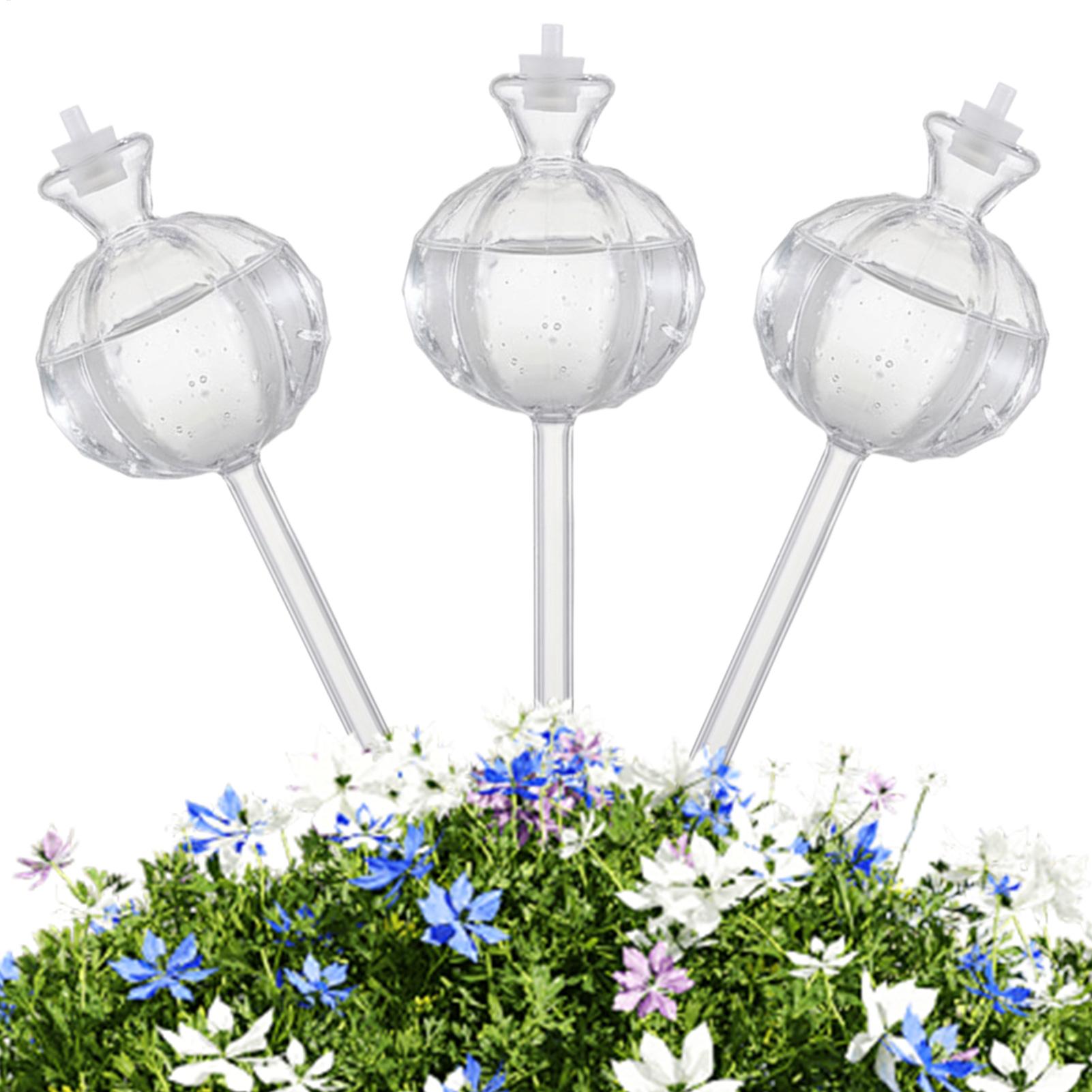 كرات ري النباتات الأوتوماتيكية - مراجعة Automatic Plant Waterer وسعره