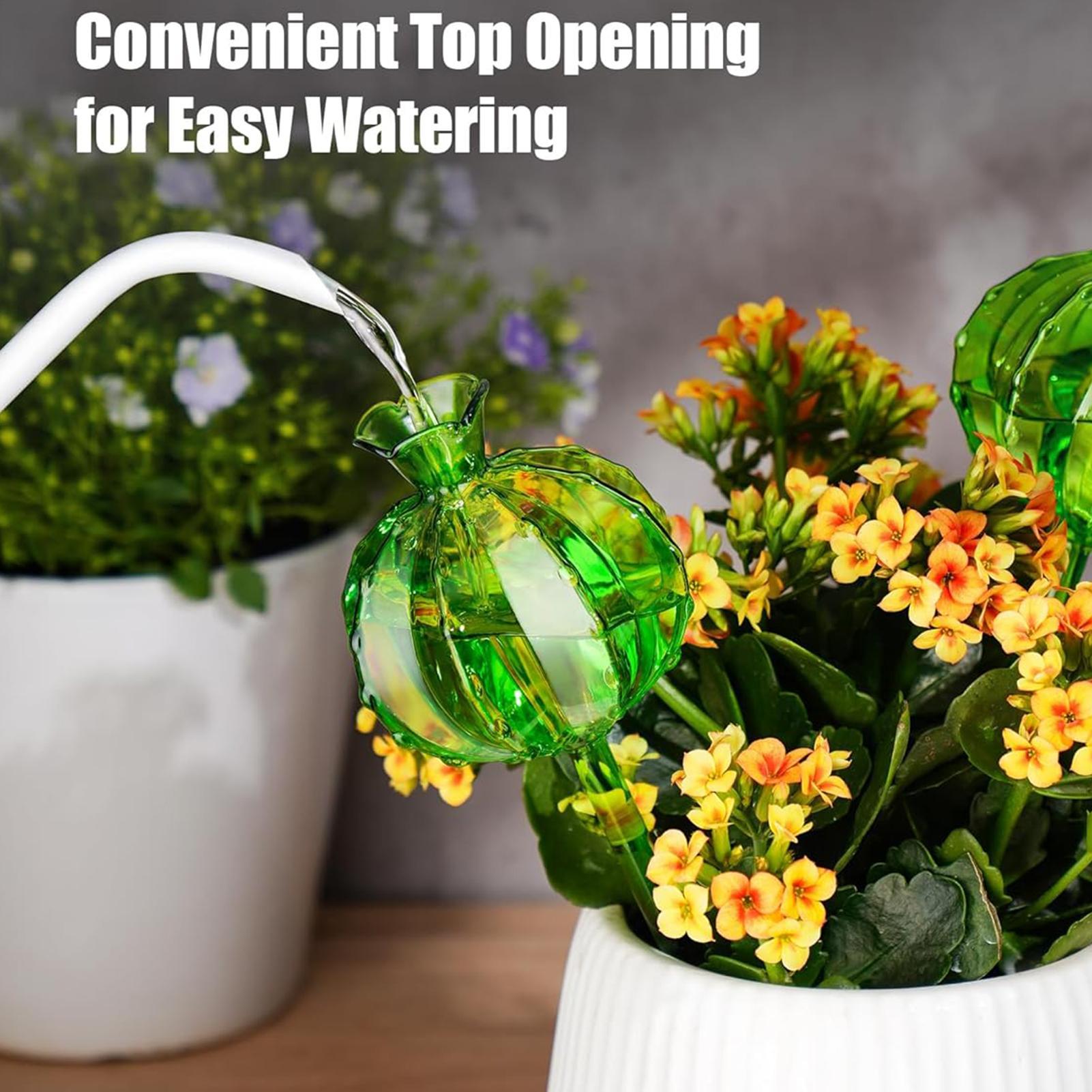 كرات ري النباتات الأوتوماتيكية - مراجعة Automatic Plant Waterer وسعره
